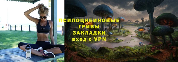 Альфа ПВП Баксан
