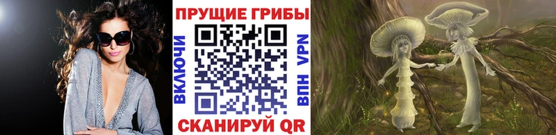 Галлюциногенные грибы GOLDEN TEACHER где можно купить Куйбышев